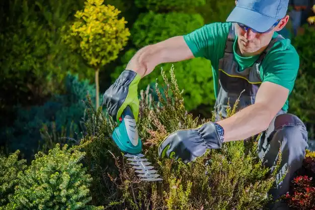 landscaping services Pearl River